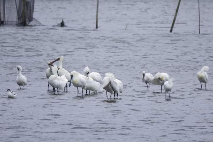 Water Bird Family Apartamento Toucheng Exterior foto