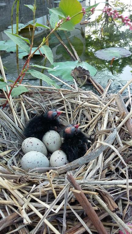 Water Bird Family Apartamento Toucheng Exterior foto