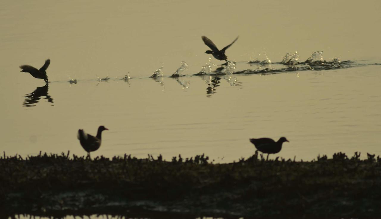 Water Bird Family Apartamento Toucheng Exterior foto